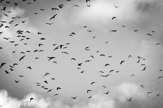 The 10 Best Cloud-Based CRM Software for 2024